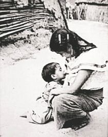 Antonio Turok denunció plagio de fotografía desde enero