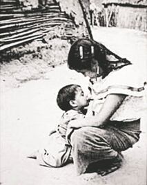 Antonio Turok denunció plagio de fotografía desde enero