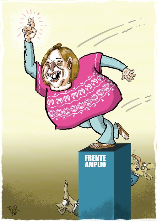 Cartón de FER