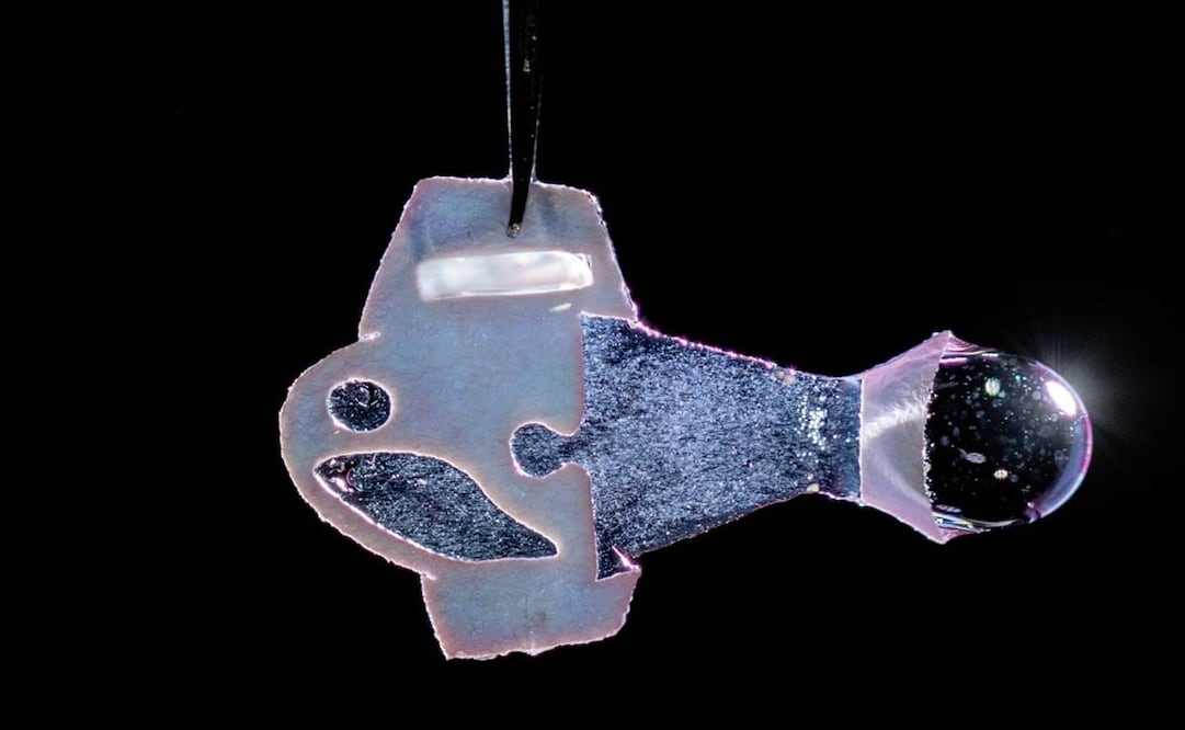 Foto: Michael Rosnach, Keel Yong Lee, Sung-Jin Park, Kevin Kit Parker/ Harvard