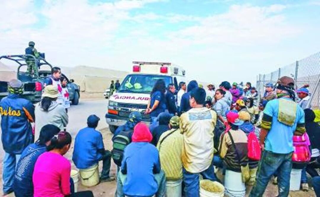 81 farm workers freed from “inhuman conditions” in Coahuila