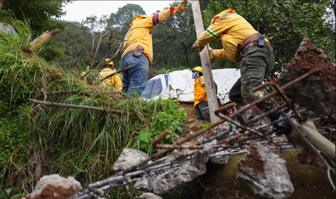 Personal de la Sedema realizó un operativo en la zona boscosa de Los Dinamos, donde se intervinieron 10 hectáreas, cuatro de ellas ocupadas ilegalmente. Foto: especial