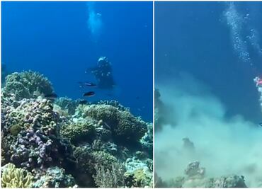 Así sorprendió un terremoto a un grupo de buzos en el fondo del mar: VIDEO
