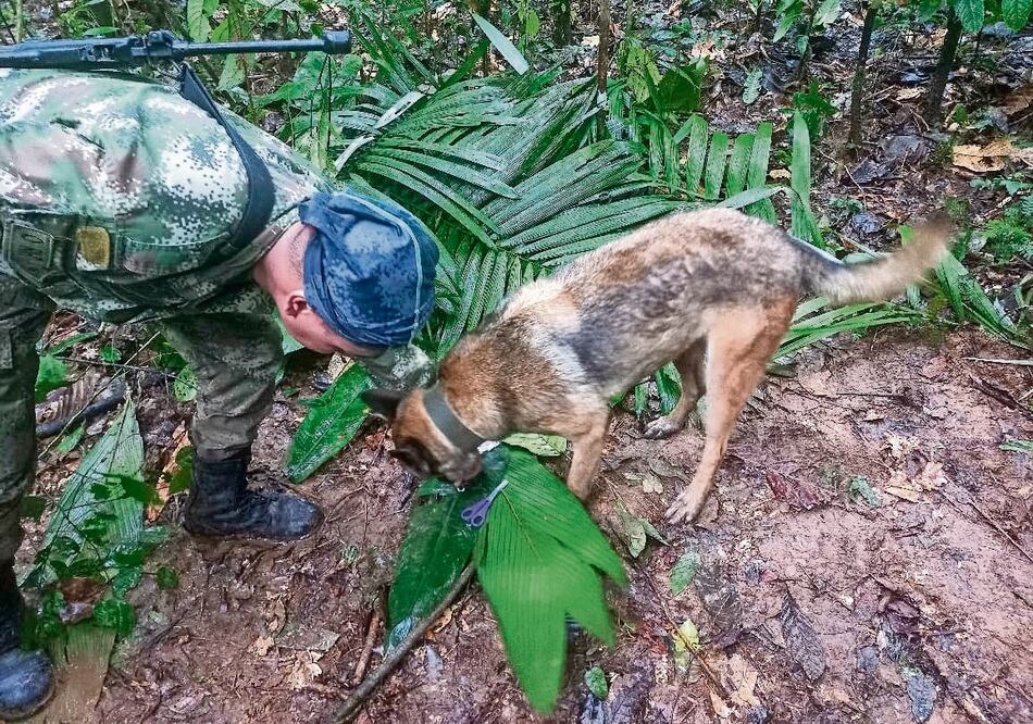 Las autoridades están analizando estos hallazgos para determinar cuál pudo haber sido la ruta que tomaron los cuatro niños.