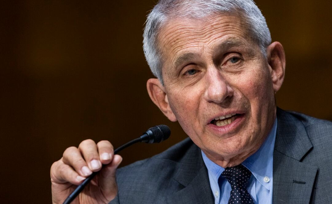 Anthony Fauci, el principal experto en enfermedades infecciosas de Estados Unidos. Foto: AP