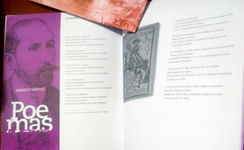 Renuevan Biblioteca de México