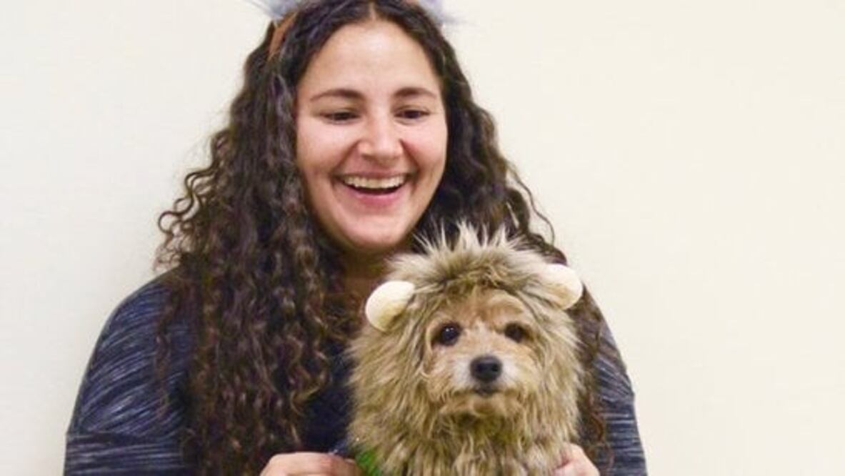 día de la felicidad