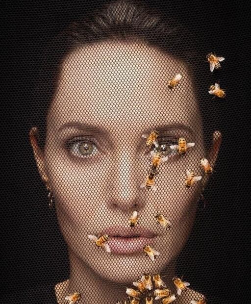La importancia de la Abeja Melipona por la que Angelina Jolie viajó a Yucatán