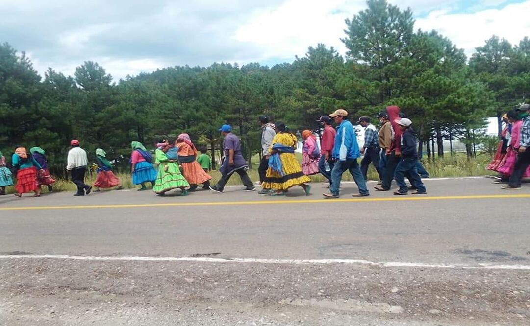 Fotos cortesía de Reporte Cuauhtémoc