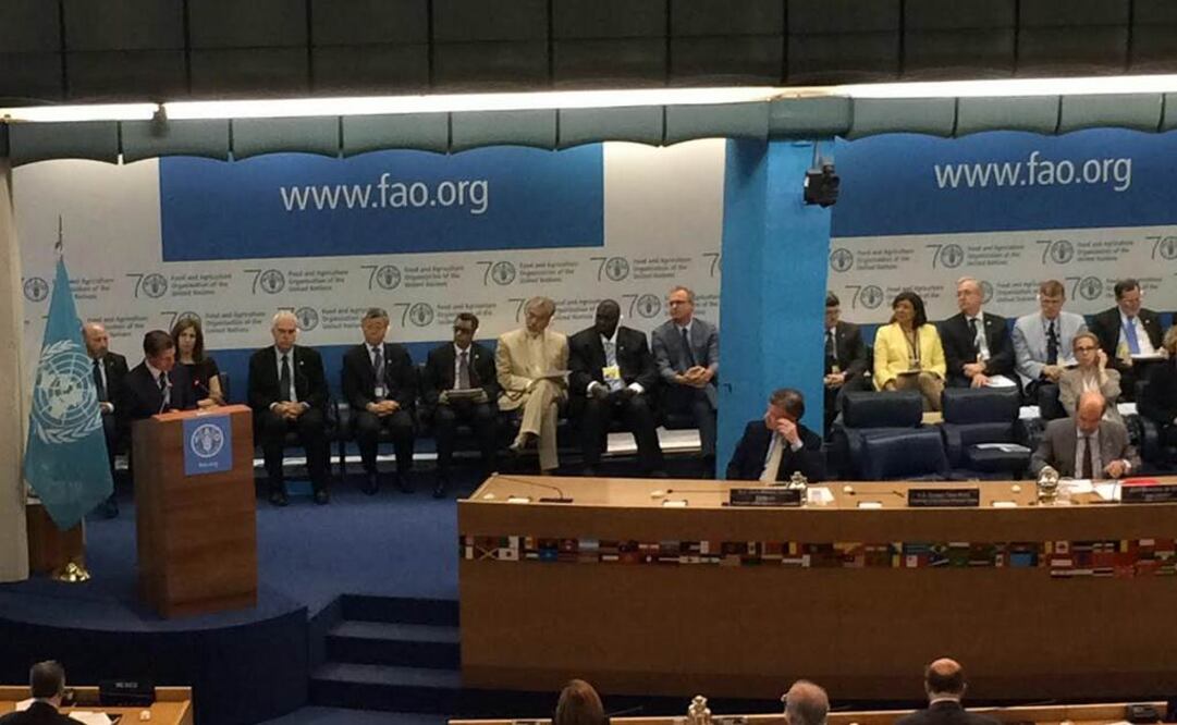 Francisco Reséndiz / EL UNIVERSAL