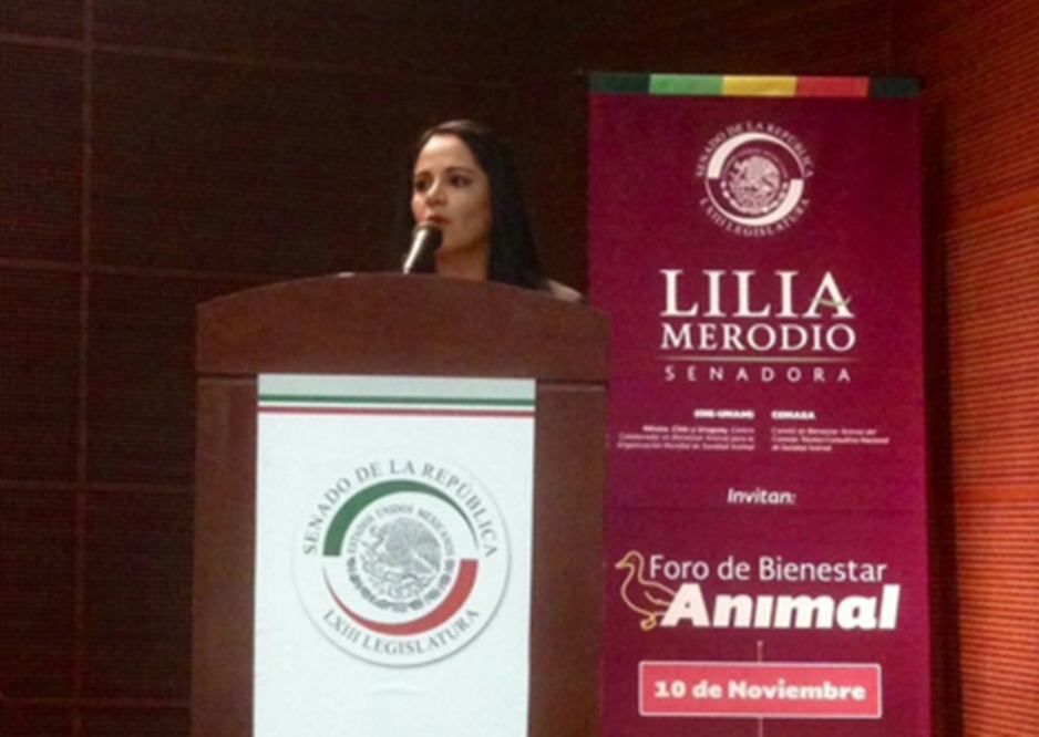 (Foto: @LiliaMerodio)