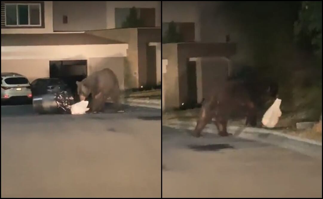 Foto: captura de pantalla