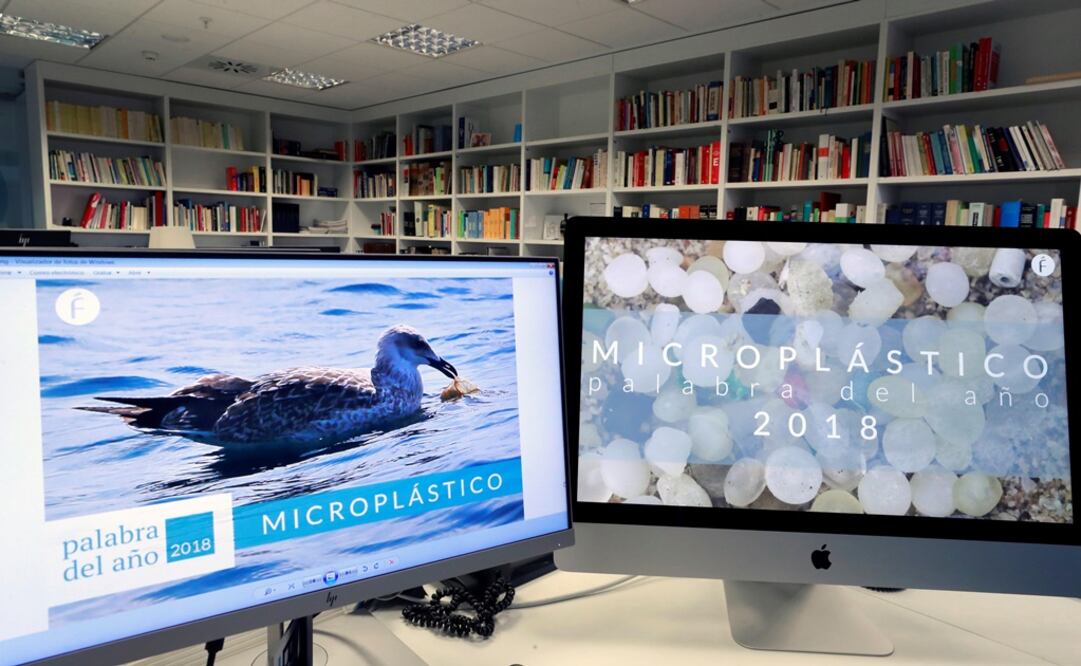 Foto: EFE/Ángel Díaz