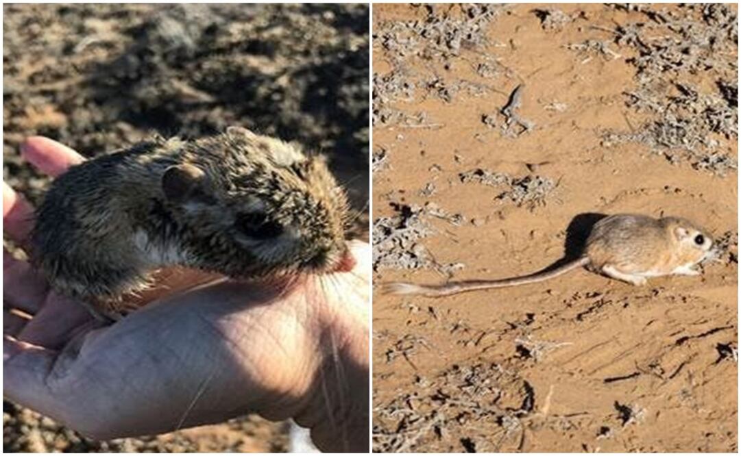 Fotografía: especial