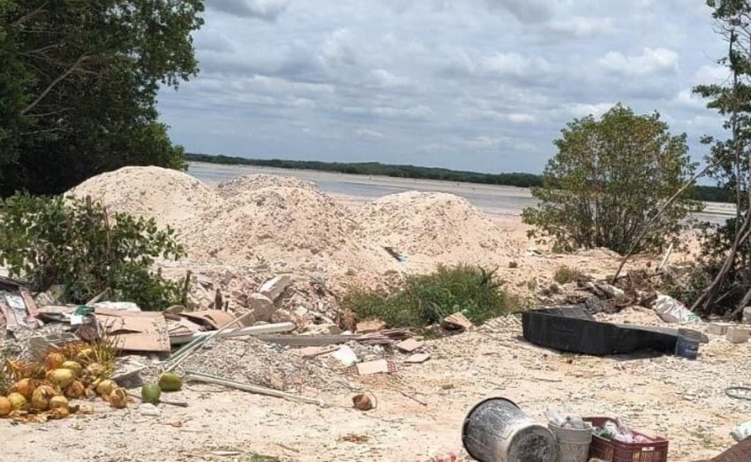 Denuncian nueva destrucción de manglar en Sisal, Yucatán (23/10/2025). Foto: Especial