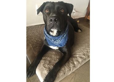 "La policía no me cuida, me cuida mi Ofelia"