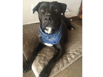 "La policía no me cuida, me cuida mi Ofelia"