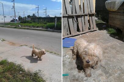 Max, 'el saqueadorcito' de Chetumal, recibe regalos 