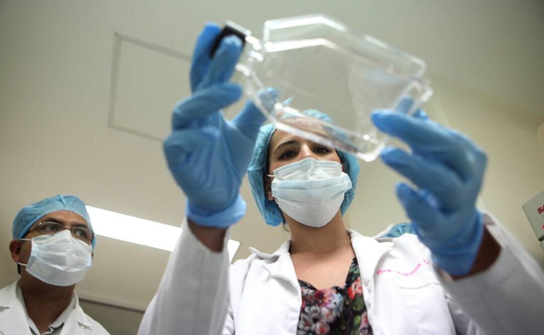 Ciencia y mujeres: aún el camino es largo