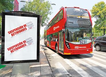 Sobse: se talaron 130 árboles por L7 Reforma