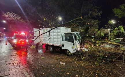 Camión de limpieza se impacta contra un árbol en Tlalpan; hay al menos 10 lesionados