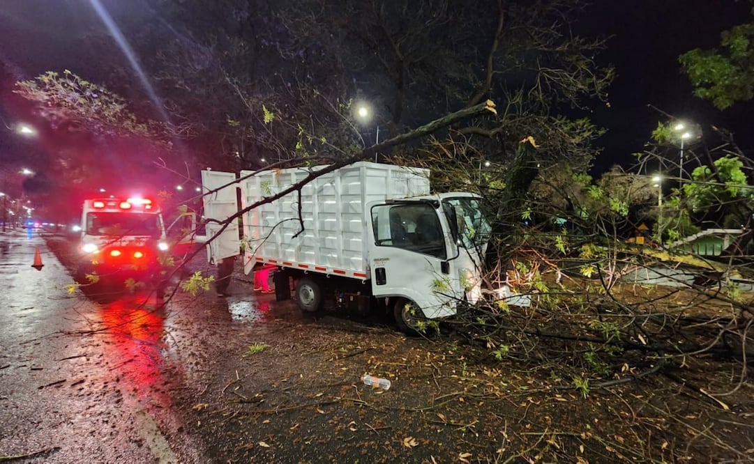 Camión de limpieza se impacta contra un árbol en Tlalpan. Foto: especial