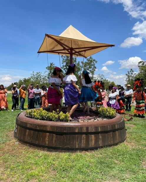 Explora la ruta de vinos en Coahuila 