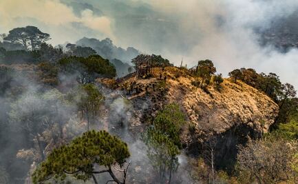 Continúa incendio forestal en corredor biológico de Tepoztlán; alcanza las 120 hectáreas afectadas