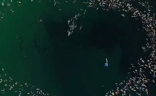 Surfistas regresan al mar tras el atentado en Bondi Beach, Australia; forman un corazón en memoria de las víctimas