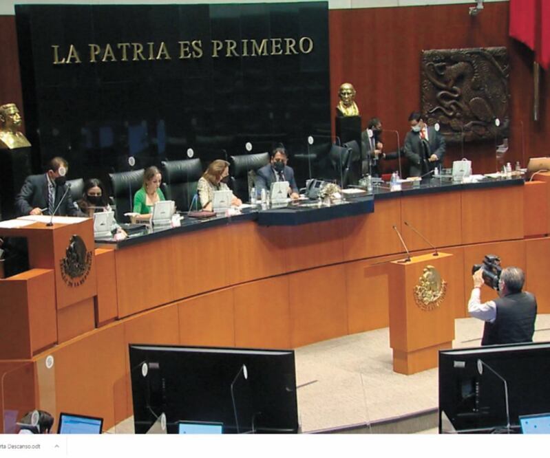 Después de desestimar las reservas de la oposición, senadores votaron, algunos vía online, por la aprobación de la ley. Foto: Captura de video.