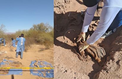 Cementerio clandestino en el desierto de Sonora; localizan restos óseos de al menos 18 personas en Sonoyta