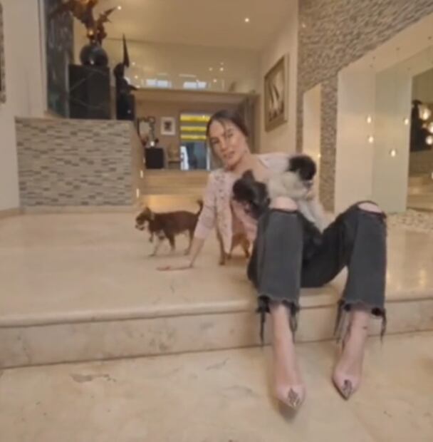 Perritos de Belinda le hacen una maldad en pleno reality show