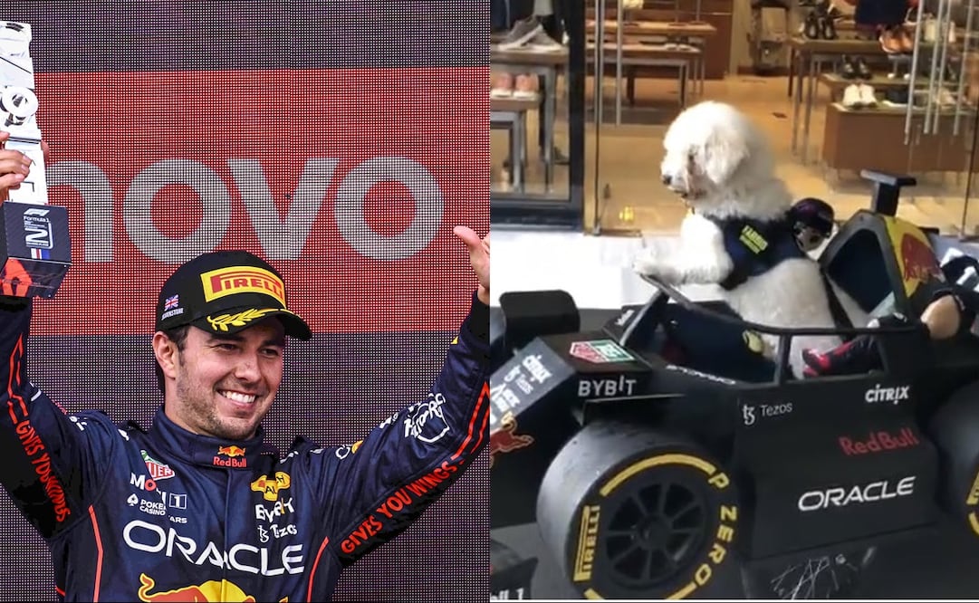 Checo Pérez y el perrito Fabbio en su monoplaza - FOTO: Especial