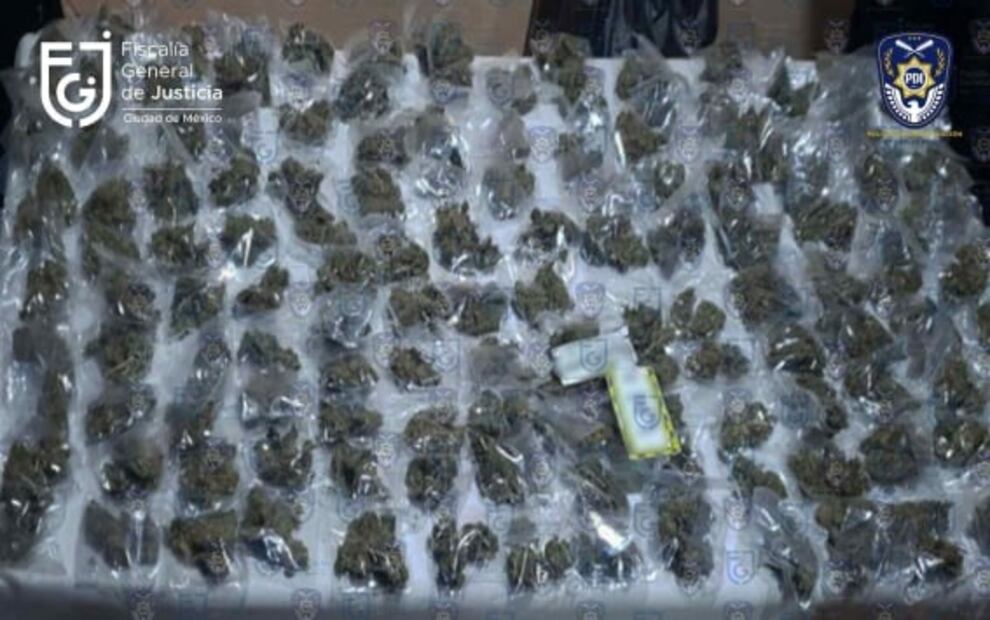 Detienen a dos tras cateo en predio en Xochimilco; hallan mariguana y material para su empaquetado  