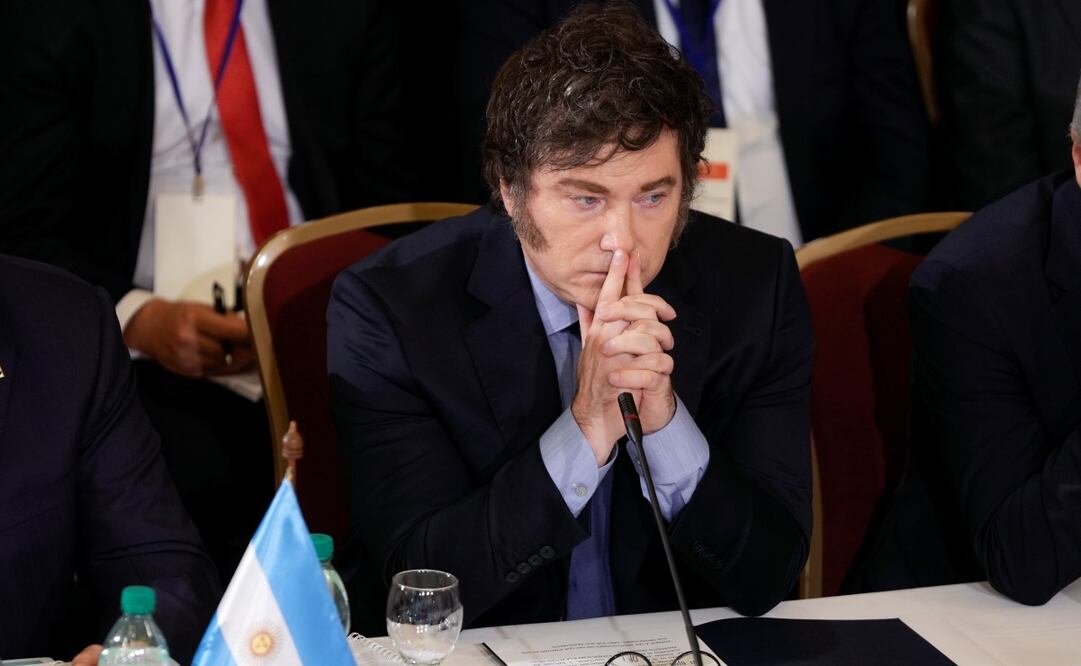 Los abogados Jonatan Baldiviezo, Marcos Zelaya, el economista Claudio Lozano y la ingeniera civil María Eva Koutsovitis denunciaron al mandatario ultraderechista . Foto: Xinhua