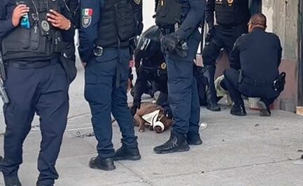 VIDEO: Detienen a perro por morder a policía en la Cuauhtémoc