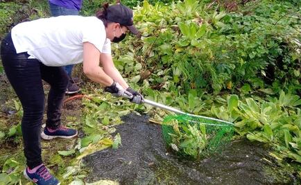 Académicos alertan sobre contaminación de mantos acuíferos y cenotes en Mérida
