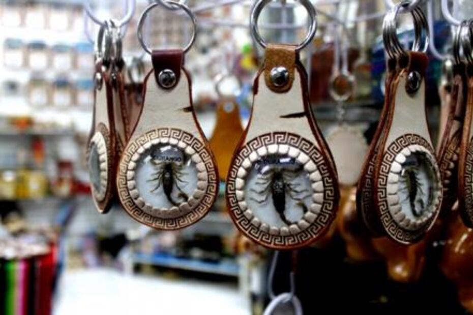 Scorpion hunting: the trade which feeds hundreds of families in Durango