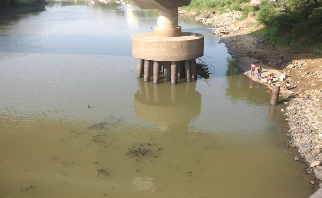 Foto: Archivo/ Cuartoscuro              