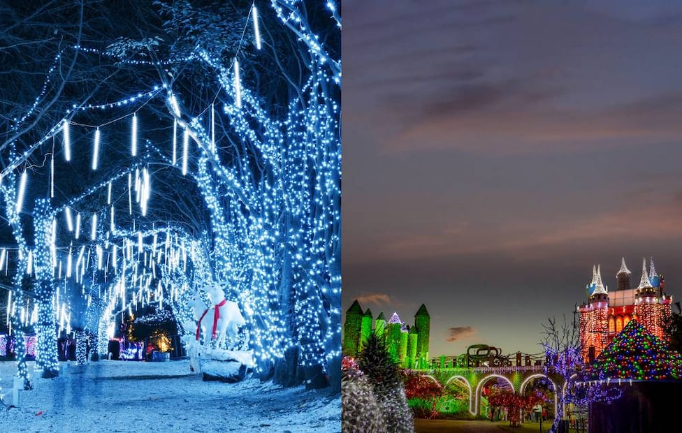 Fotos: Volcanic Park