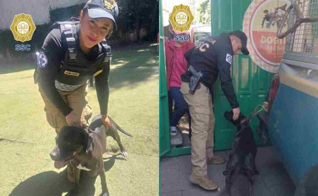 Los oficiales orientaron e invitaron al dueño del lugar a realizar su denuncia correspondiente ante el agente del Ministerio Público. Foto: Especial