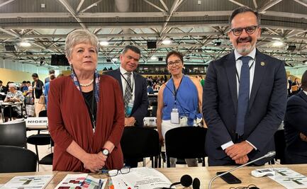 México se suma a acción global para proteger el 30% de los mares del mundo para 2030; estas son sus propuestas