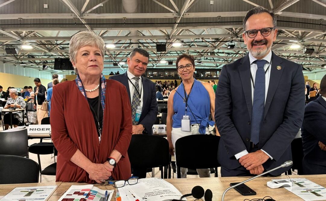 México se suma a acción global para proteger el 30% de los mares del mundo para 2030. Foto: Especial