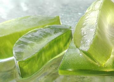 Estimula la producción de colágeno con esta receta de sábila y romero