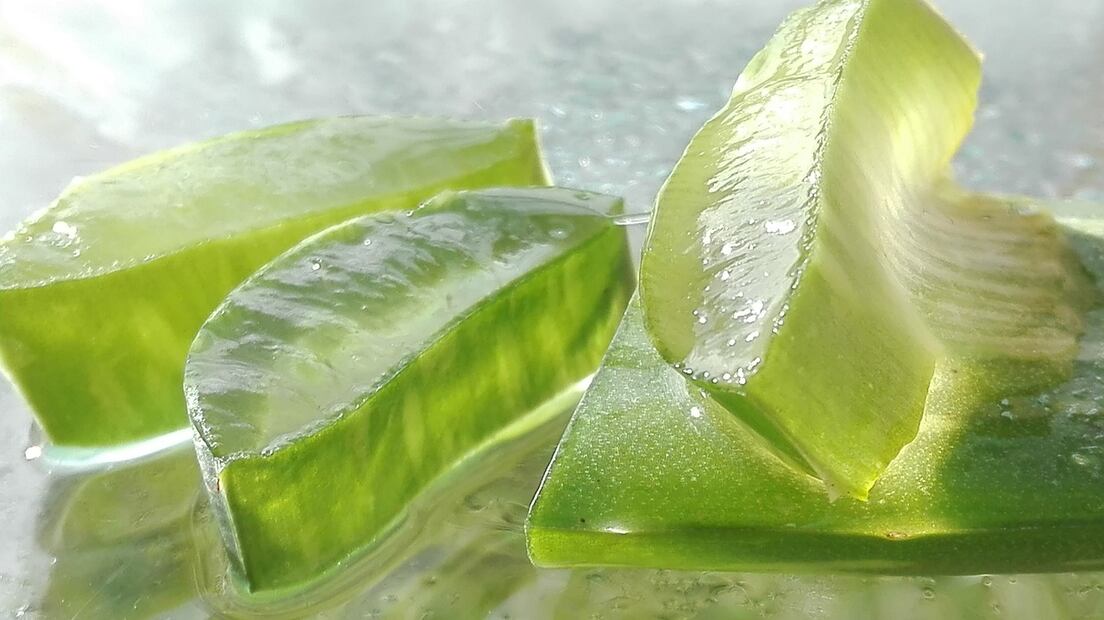 Aloe vera contra las arrugas. Fuente: Pixabay