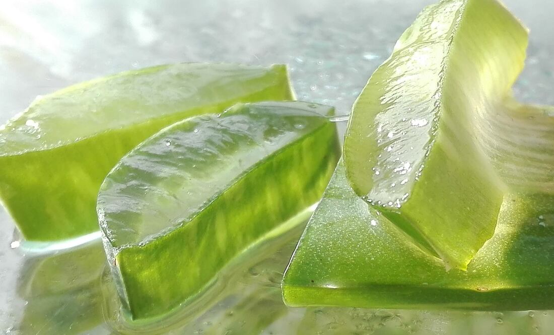 Aloe vera contra las arrugas | Fuente: Pixabay