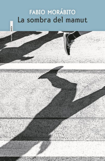 “Las historias siempre surgen de modo misterioso”: Fabio Morábito