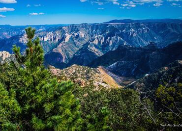 México es el quinto país con mayor cantidad de paisajes y climas del mundo
