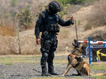 ¿Conoces a la nueva generación de perros rescatistas de Atizapán de Zaragoza?