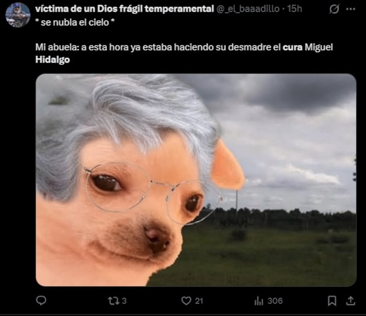 Los mejores memes que dejó este 16 de septiembre, Día de la Independencia de México. Foto: Captura de pantalla
